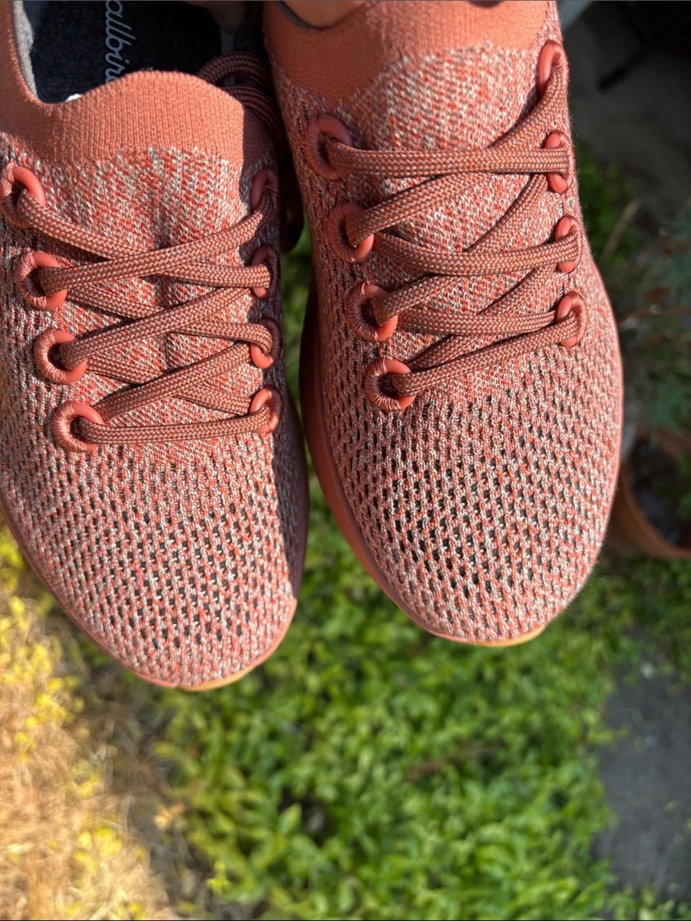 allbirds dasher, women’s size 7 Sneakers in Rosewood Knit, new condition